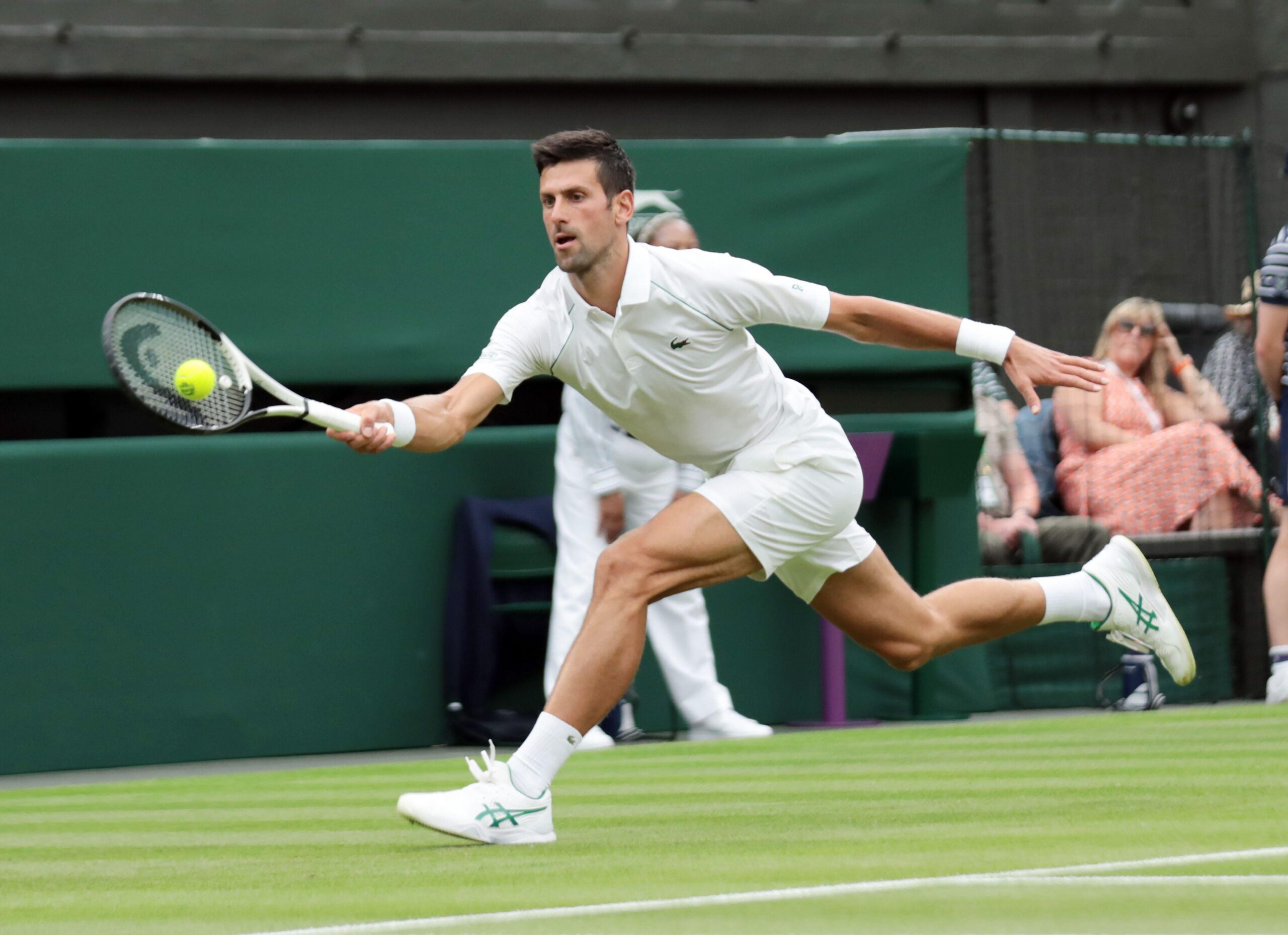 Une photo de Novak Djokovic